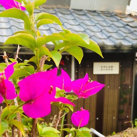 Guesthouse Nichinan - Vacation Stay 82905V Экстерьер фото